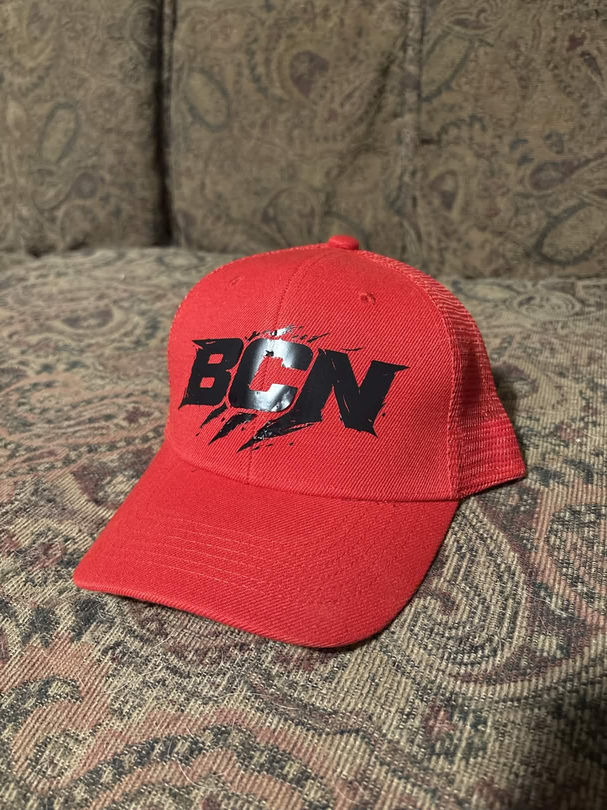 BCN Claw (SnapBack) - Image 2